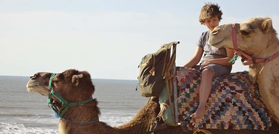 Essaouira: 2-Hour Camel Ride - Guides like Yusuf and camels like Boris, why the bond matters