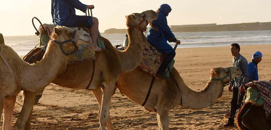 Essaouira: 2-Hour Camel Ride - Price and value: what $47 gets you in real terms