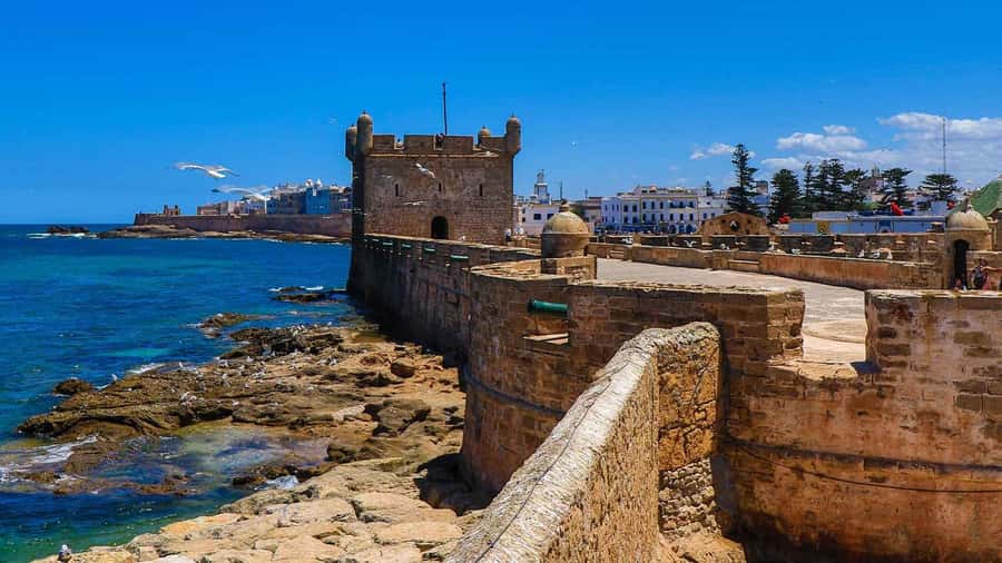 Essaouira: 2-Hour Camel Ride - Should you book the 2-hour Essaouira camel ride?