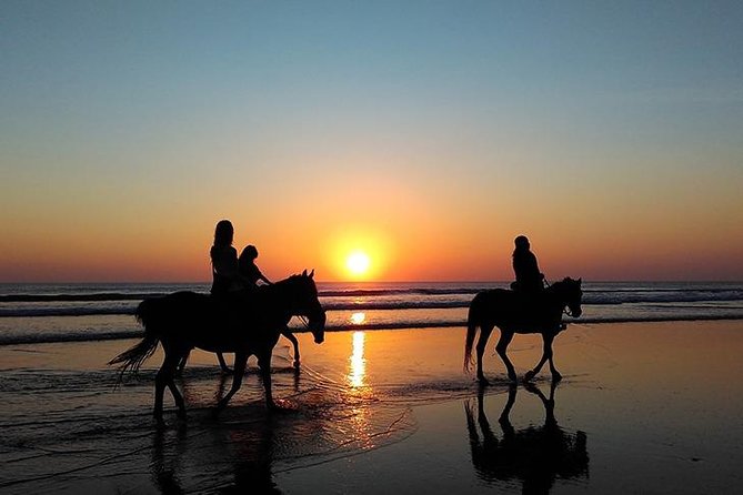 Essaouira Activities: Discover Essaouira by Quad - Horse Or Camel Along Essaouira’s Atlantic Coast