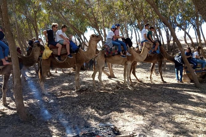 Essaouira Activities: Discover Essaouira by Quad - What you actually do in those 3 hours