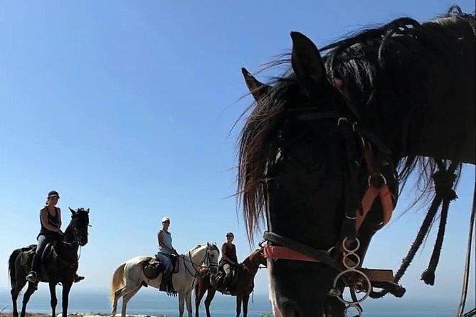 Essaouira Activities: Discover Essaouira by Quad - Price and value: why $46 can feel fair here