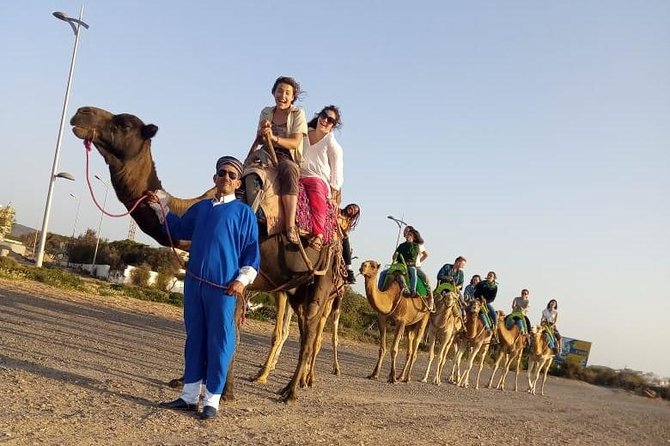 Essaouira Activities: Discover Essaouira by Quad - Who should book, and who might skip it