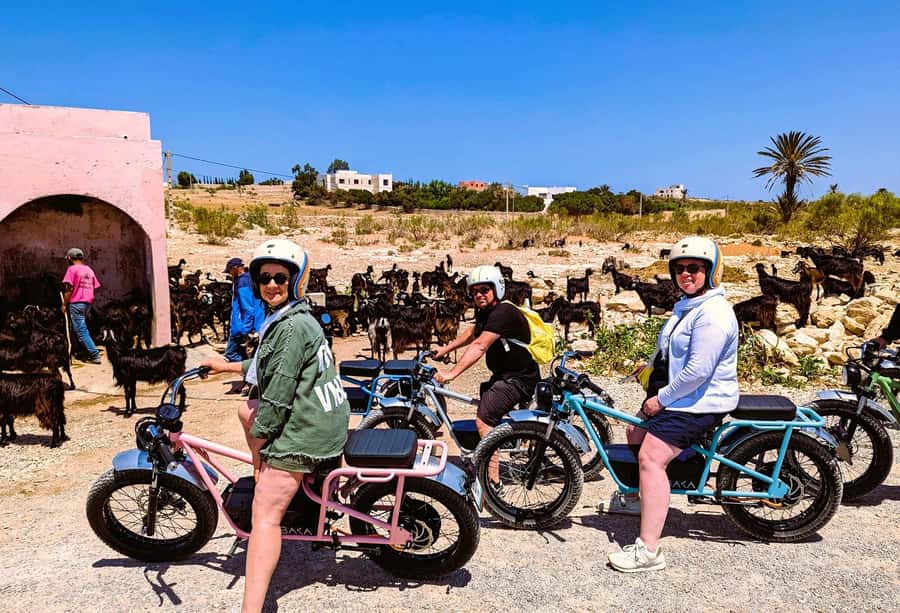 Essaouira: Area Highlights Guided E-Bike Tour - Tea and Cake Break, A Real Rest Point Before the Return