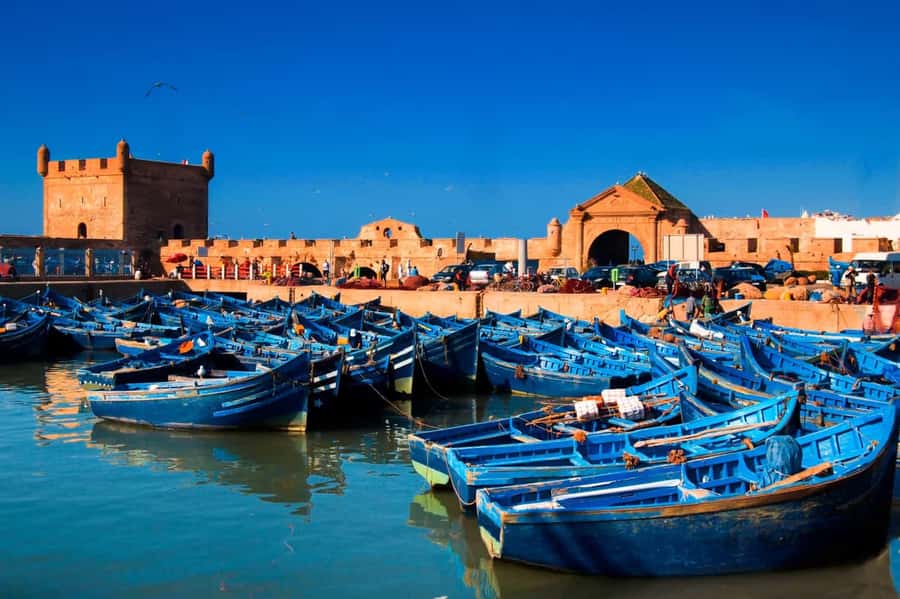Essaouira Atlantic coast Day trip from marrakech - Price and Value: What You Pay For, What You Don’t