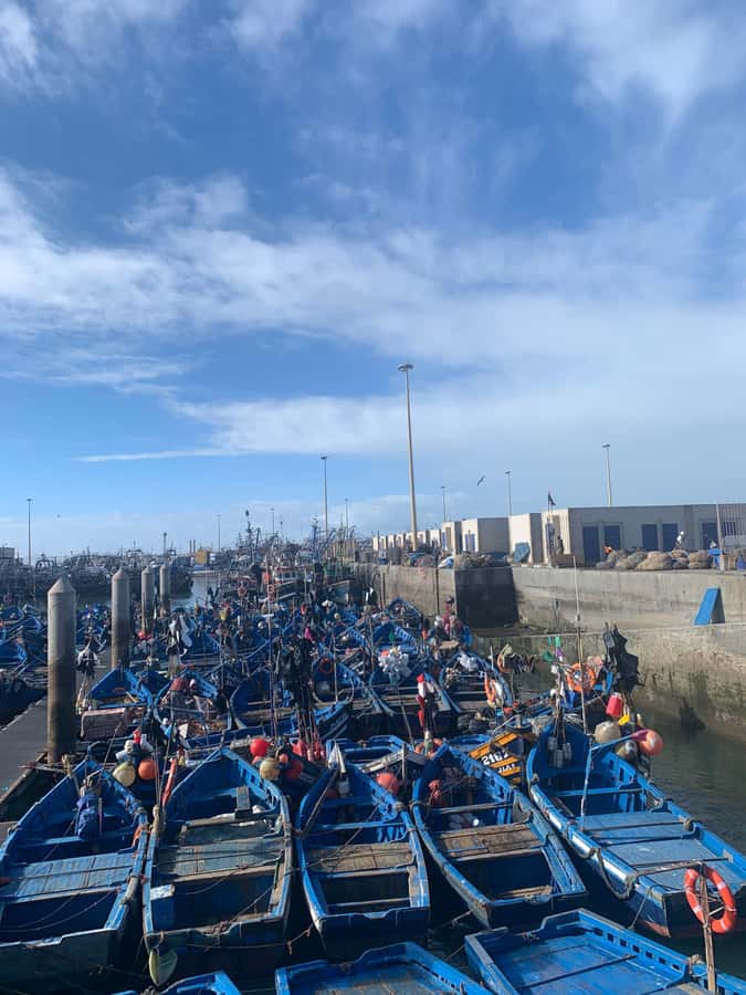 Essaouira City day Trip from Marrakech - Skala de la Ville: Fort Views That Make the Coast Click