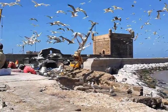 Essaouira Day Departure From Marrakech - A Sea-Touched Escape From Marrakech to Essaouira