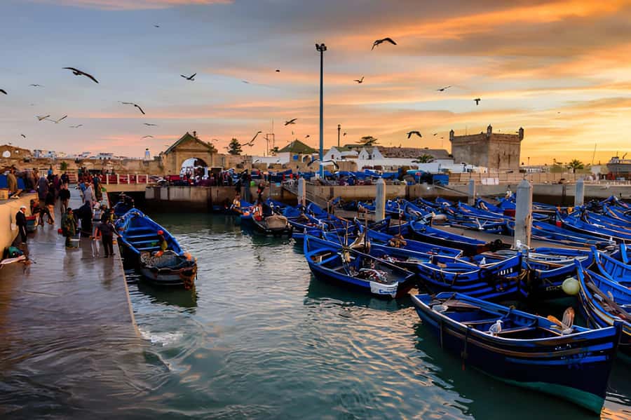 Essaouira Day Trip from Agadir - Who this day trip fits best, and who should choose something else