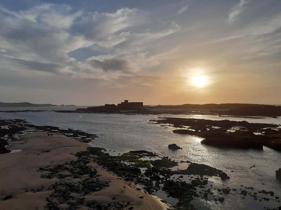 Essaouira Day Trip from Marrakech _ medina, old port - Value and price: what $14 gets you, and what you should budget for