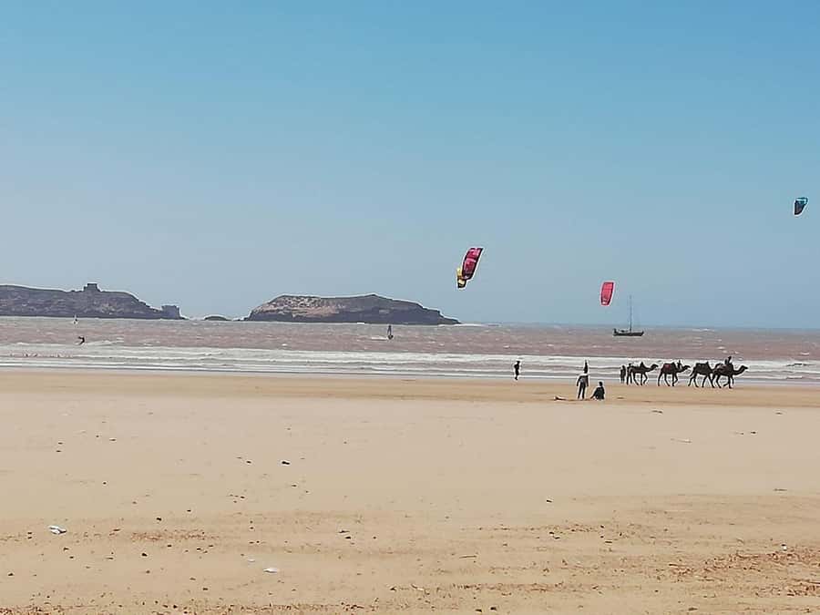 Essaouira Day Trip from Marrakech _ medina, old port - Souks without the chaos: how to shop smart for souvenirs and crafts
