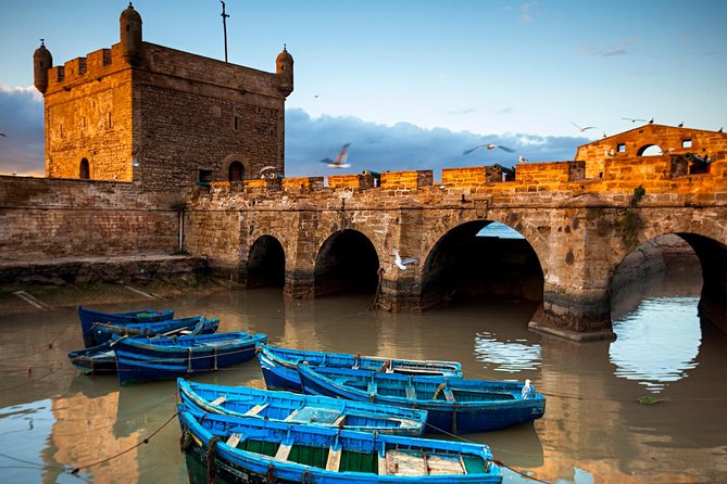Essaouira-Full-Day-Trip-From-Marrakech - Argan Oil Cooperative: Where the Souvenir Stops Being Just a Souvenir