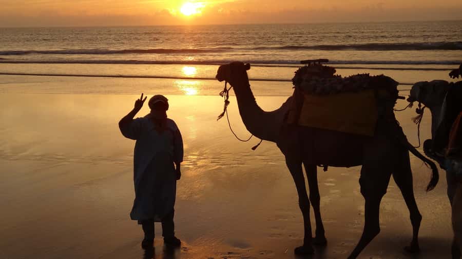 Essaouira: One Hour Dromedary Ride - Ranch pickup in Essaouira: where to meet and how to find it fast