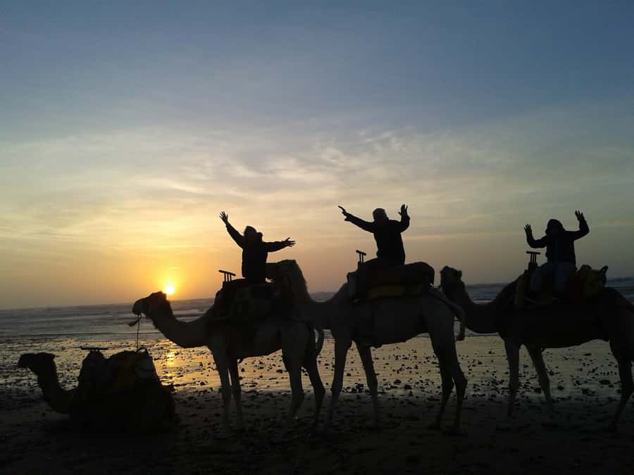 Essaouira: One Hour Dromedary Ride - The countryside trek: what you’ll see between Diabat and the coast