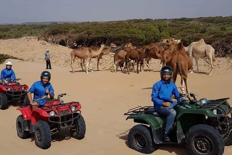Essaouira P3: Quad tour forest beach dunes (free transfer) - Value check: why $37 makes sense in Essaouira