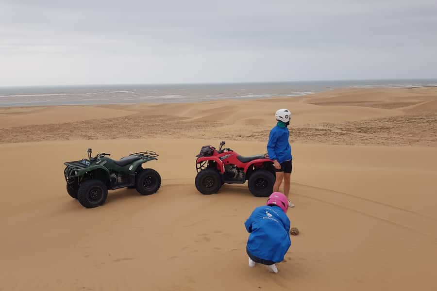 Essaouira P3: Quad tour forest beach dunes (free transfer) - Your guide and how the lesson actually helps you ride