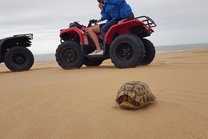 Essaouira: Pleasant Quad tour (free transfer) - Key things to know before you go