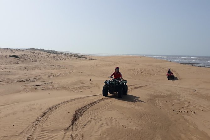 Essaouira: Pleasant Quad tour (free transfer) - Sea urchins with local fishermen: what to ask once you get there