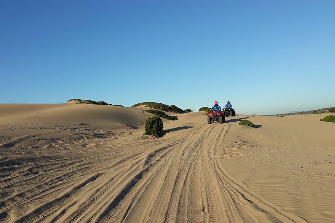 Essaouira: Pleasant Quad tour (free transfer) - Price and value: what $56.99 gets you, and why free pickup matters