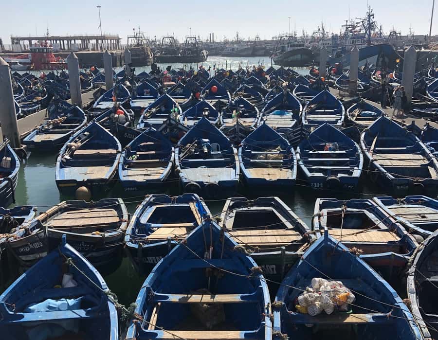 Essaouira: Private City Tour - Who This Tour Suits Best (and Who Might Want a Different Plan)
