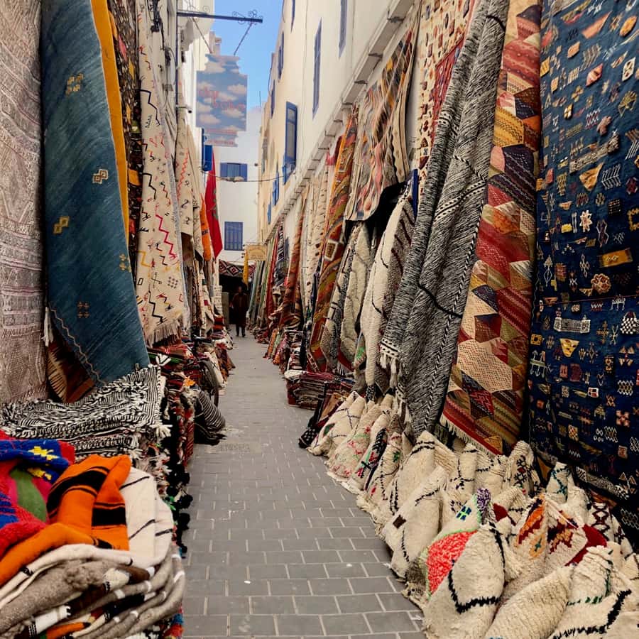 Essaouira: Private City Tour - Fishing Port First, So You Understand Essaouira’s Daily Rhythm