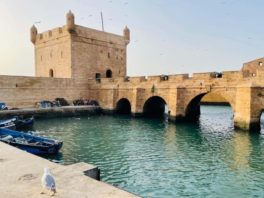 Essaouira: Sqala du Port, Citadel, Fish Market & Medina Tour - What is included, and why skip-the-line matters here