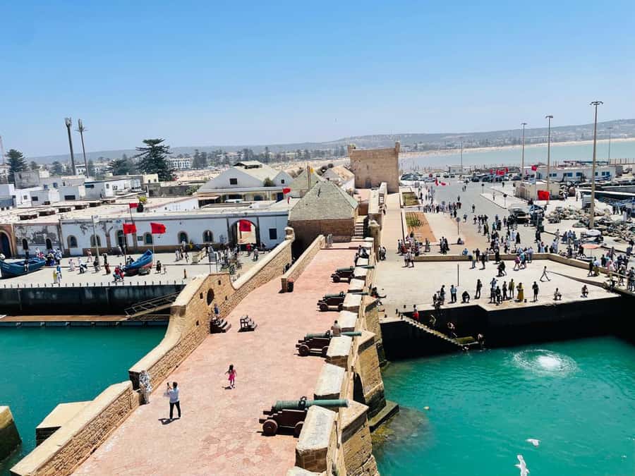 Essaouira: Sqala du Port, Citadel, Fish Market & Medina Tour - Why this 3-hour Essaouira route works so well