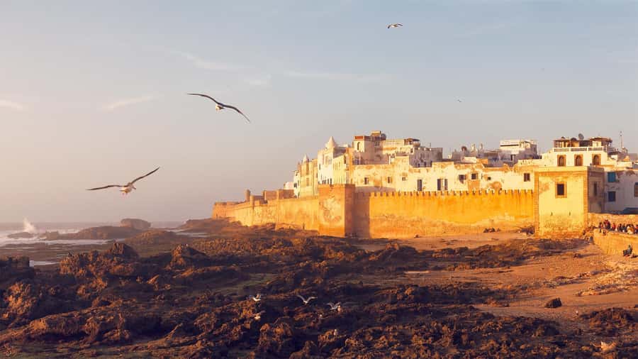 Essaouira: Sqala du Port, Medina Ramparts & Fish Market Tour - Mellah (Jewish Quarter): one of the most meaningful stops on the whole route