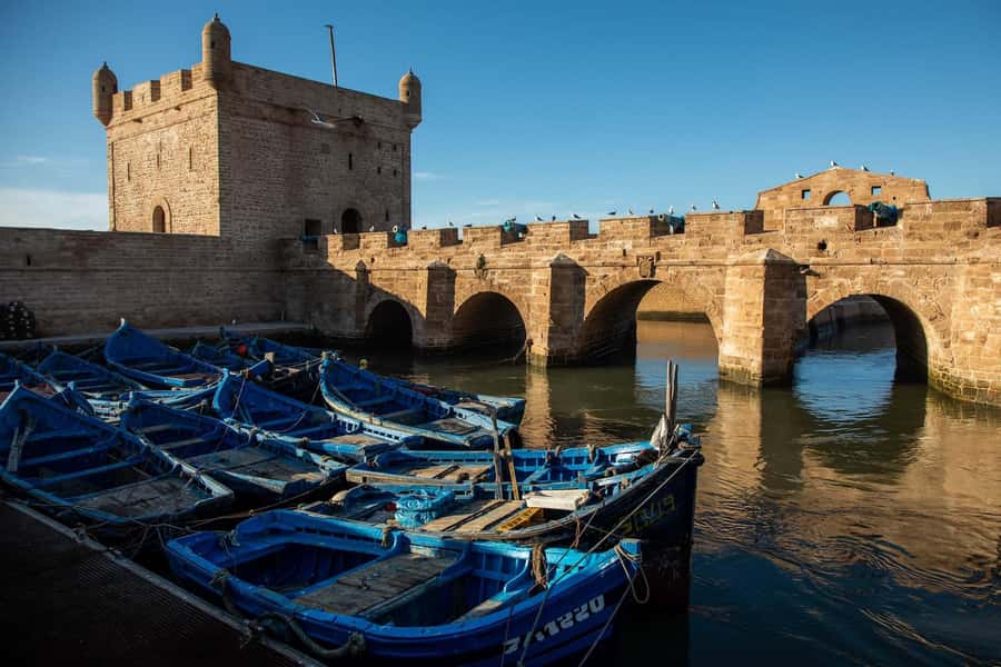 Essaouira: Sqala du Port, Medina Ramparts & Fish Market Tour - Gnaoua music rhythms and film stories that color the walk