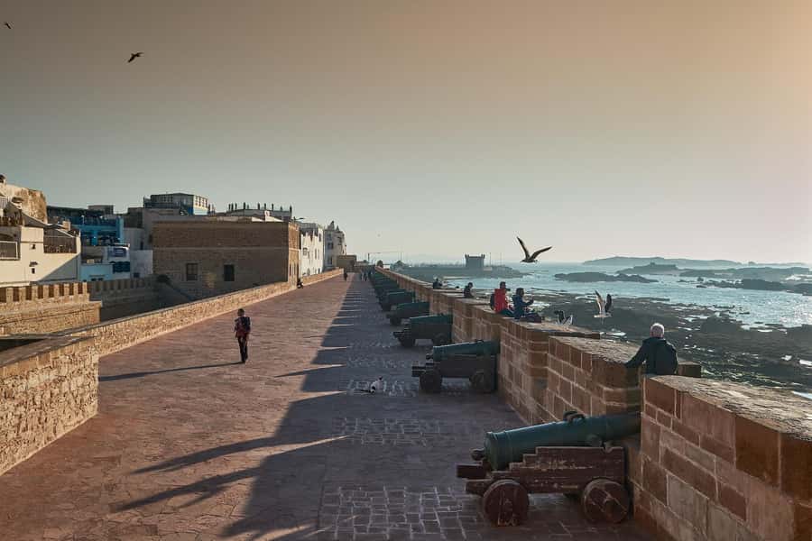 Essaouira: Sqala du Port, Medina Ramparts & Fish Market Tour - Should you book this Essaouira Skala du Port, Medina Ramparts, and fish market tour?