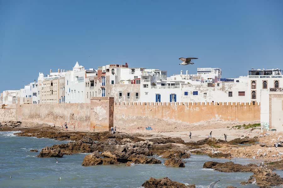 Essaouira: Sqala du Port, Medina Ramparts & Fish Market Tour - Bab Sbaa Gate to the UNESCO Medina lanes: learn the town, not just the stops