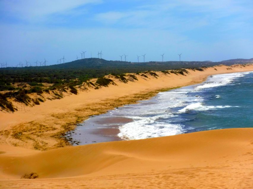 Essaouria: Beach & Big Dunes 2-Hour Quad Biking Tour - Who This Quad Tour Fits Best (And Who Should Skip It)