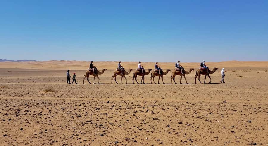 Evening Marrakech: Agafay Desert Quad , Camel & Dinner Shows - Moroccan Dinner at Camp: What You’ll Eat and How It Feels