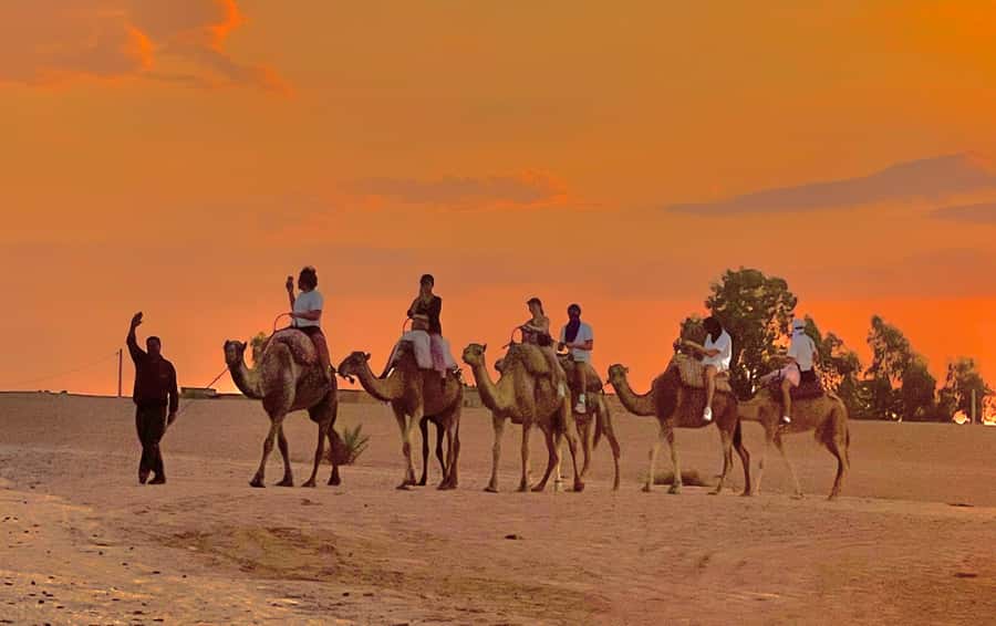Evening Marrakech: Agafay Desert Quad , Camel & Dinner Shows - Music, Dancing, and the Fire Show: The Real End-Point