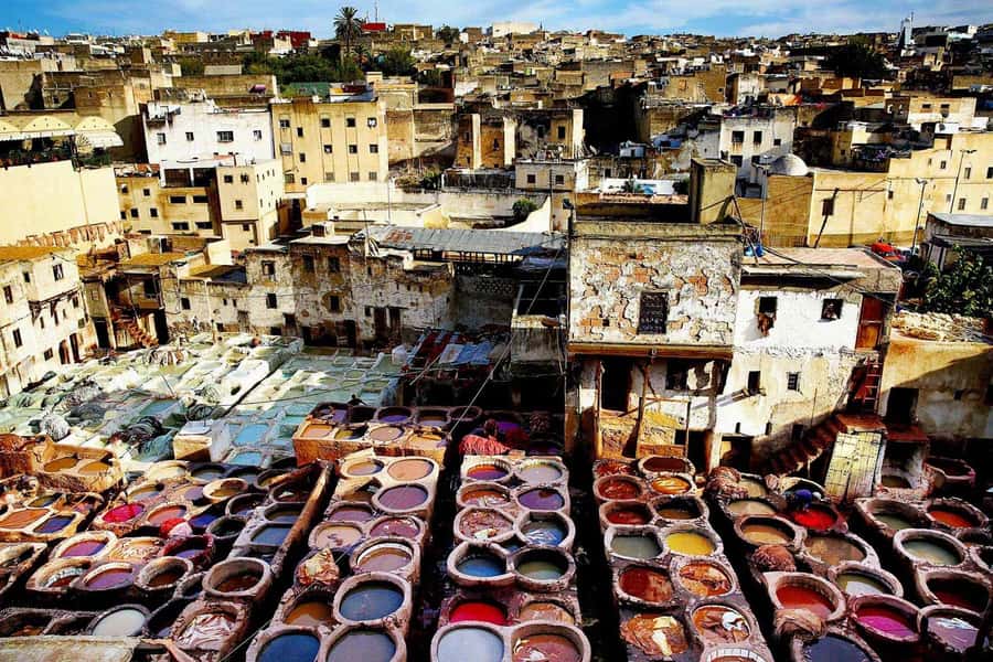 Exclusive Fez Medina Walking Tour with a local Guide - Chouara Tannery, an unforgettable sensory look at traditional leatherwork