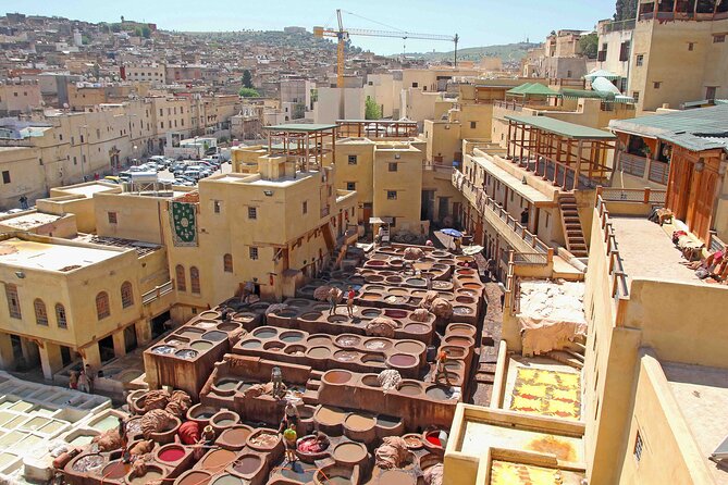 Exclusive Fez Medina Walking Tour with Private Guide - Price and logistics: what you really get for $35.95