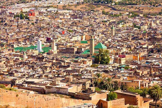 Exclusive Fez Medina Walking Tour with Private Guide - Chouara Tannery and the dyers souk: where color meets tradition