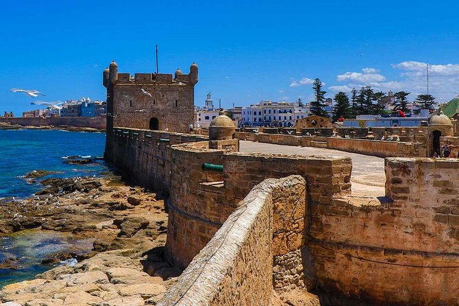 Excursion Essaouira from Marrakech - El Hanchane: Argan Trees, Goat Photos, and What to Expect