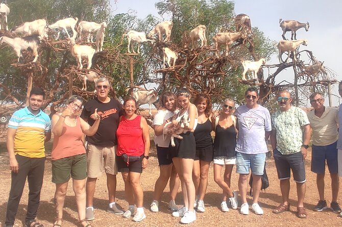 Excursion Essaouira from Marrakech - Does This Day Trip Include a Guide?