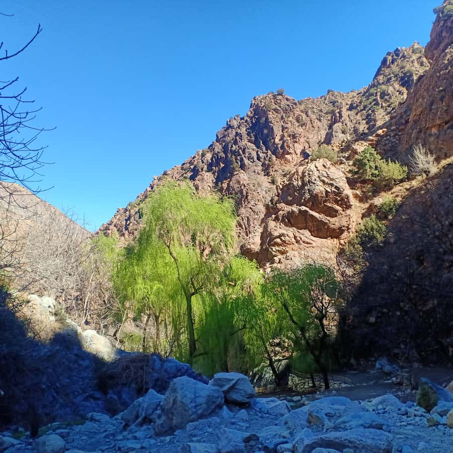 Excursion Ourika valley and atlas mountains with Lunch - Setti Fatma waterfalls hike: the part you should plan for