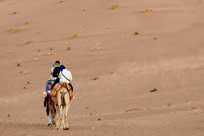 Experience Luxury in Zagora: 2-Day Desert Adventure - Ait Ben Haddou: A Guided Kasbah Village You Can Actually Follow