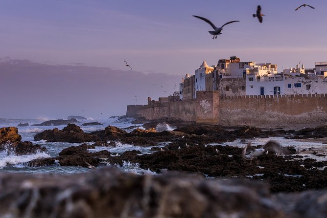 Explore Essaouira on a Day Trip from Marrakech - The road trip moment: scenery, argan, and the surprise bits