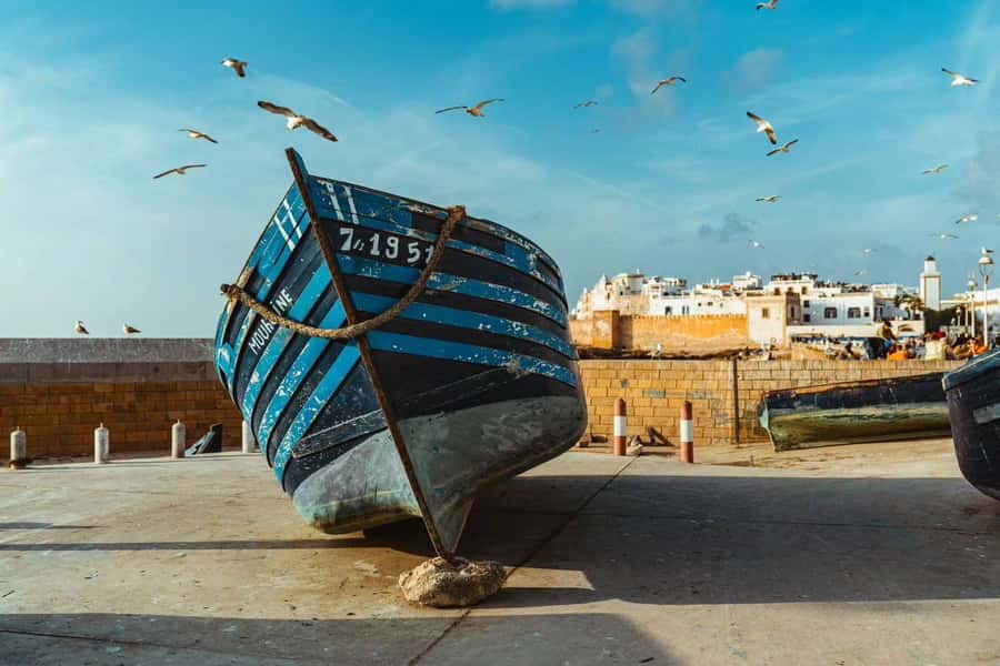 Explore Essaouira's Secrets: A Guided Tour with a Local! - Fish market to seafood lunch: eating where the day starts