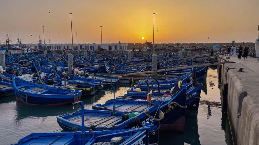 Explore Essaouira's Secrets: A Guided Tour with a Local! - Coastline time and beach options: wind-friendly, flexible, and usually quick