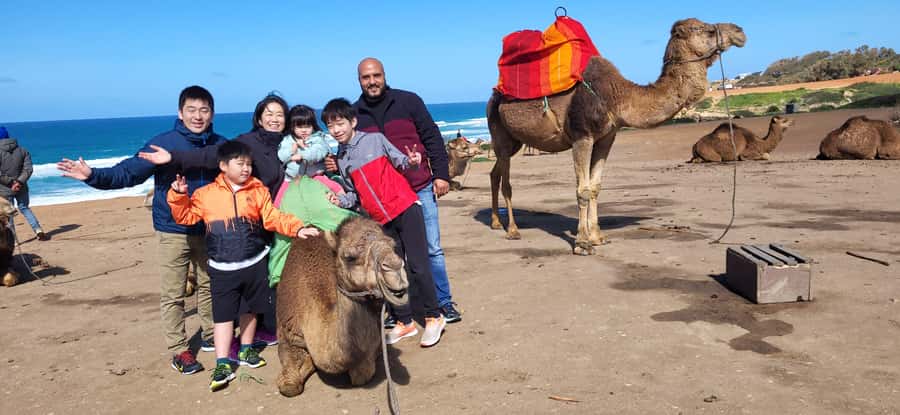 Explore Tangier: Cap Spartel, Cave, & Camel Ride Adventure - Who This Tangier Adventure Fits Best