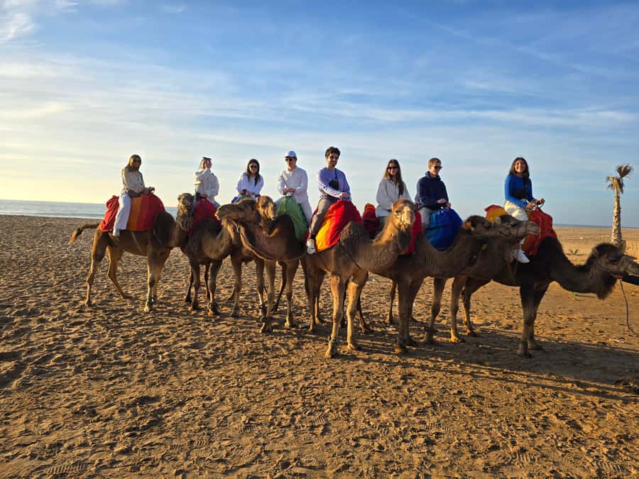 Explore Tangier: Cap Spartel, Cave, & Camel Ride Adventure - The Drive and Guide Factor: Why the People Matter on a Short Tour