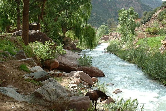 Explore The Best Of Ourika Valley: Departure From Marrakech. - Timing, weather, and how to plan your day