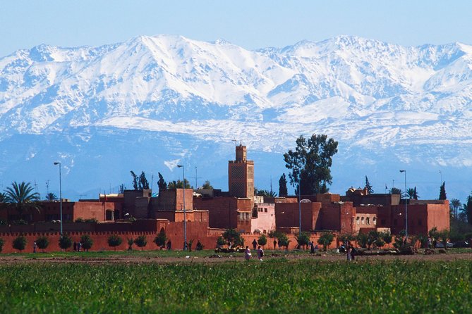 Exploring Marrakesh in half-day sightseeing tour - Stop 3: Bahia Palace, Where You Spend 30 Minutes on Purpose
