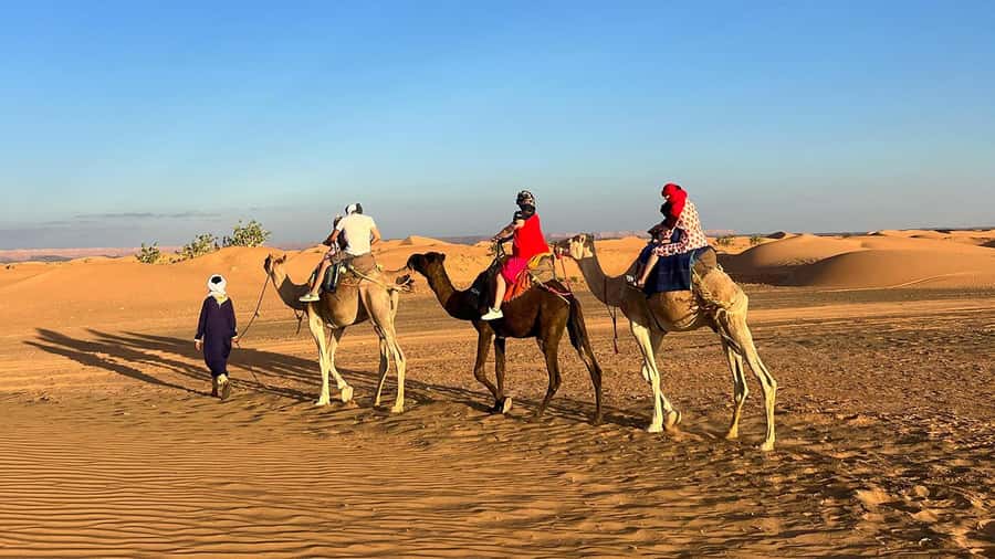 Fes: 3 Days Desert Tour from Fes back to Fez - Ifrane, Azrou cedar forest, and the Middle Atlas drive that sets the mood