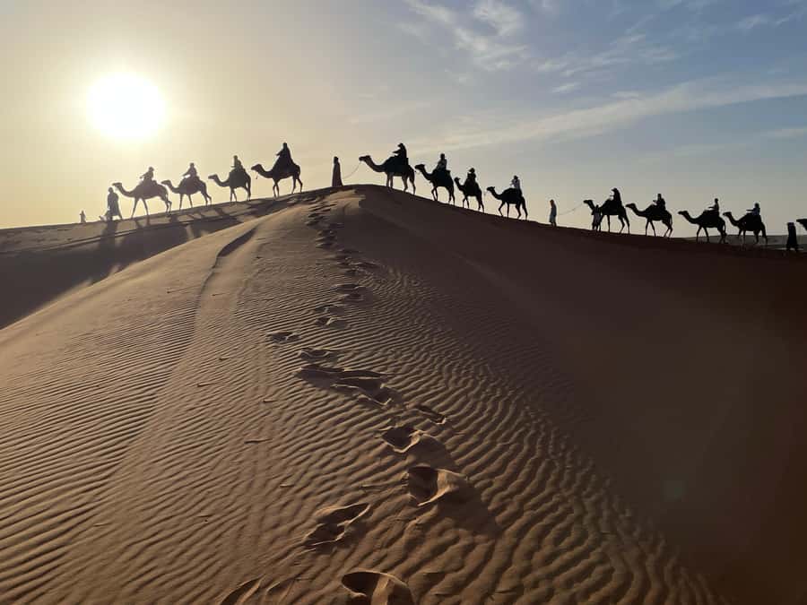 Fes: 3 Days Desert Tour from Fes back to Fez - Small group travel, driver quality, and the names to remember