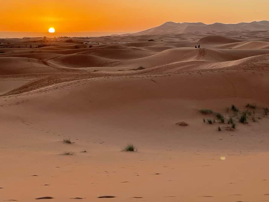 Fes: 3 Days Desert Tour from Fes back to Fez - Who should book this Fez to Merzouga desert tour
